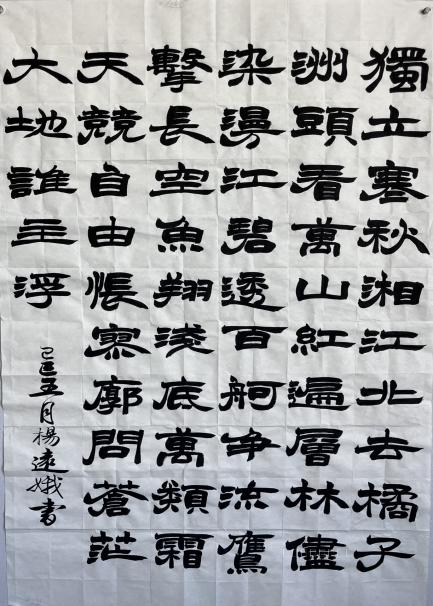 17498079741749807974215567.png