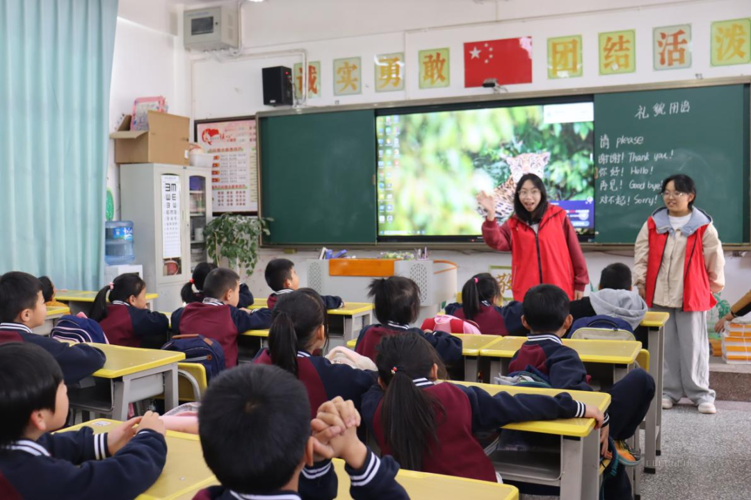 微信图片_2026-04-01_163146_720.png 微信图片_2026-04-01_163146_720.png